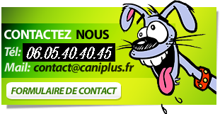 contactez notre éducateur comportementaliste canin